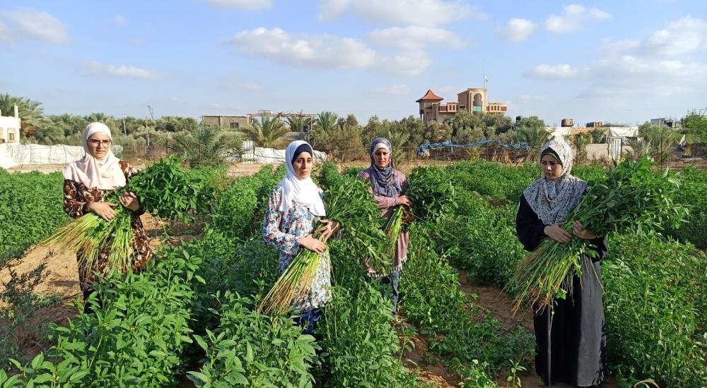 WhatsApp Image 2021-10-24 at 9.47.51 AM.jpg