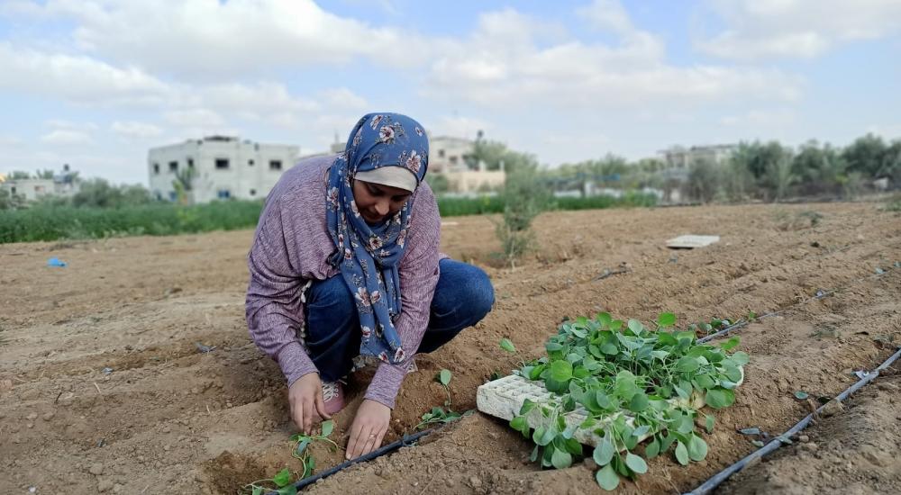 WhatsApp Image 2021-10-24 at 9.49.20 AM.jpg