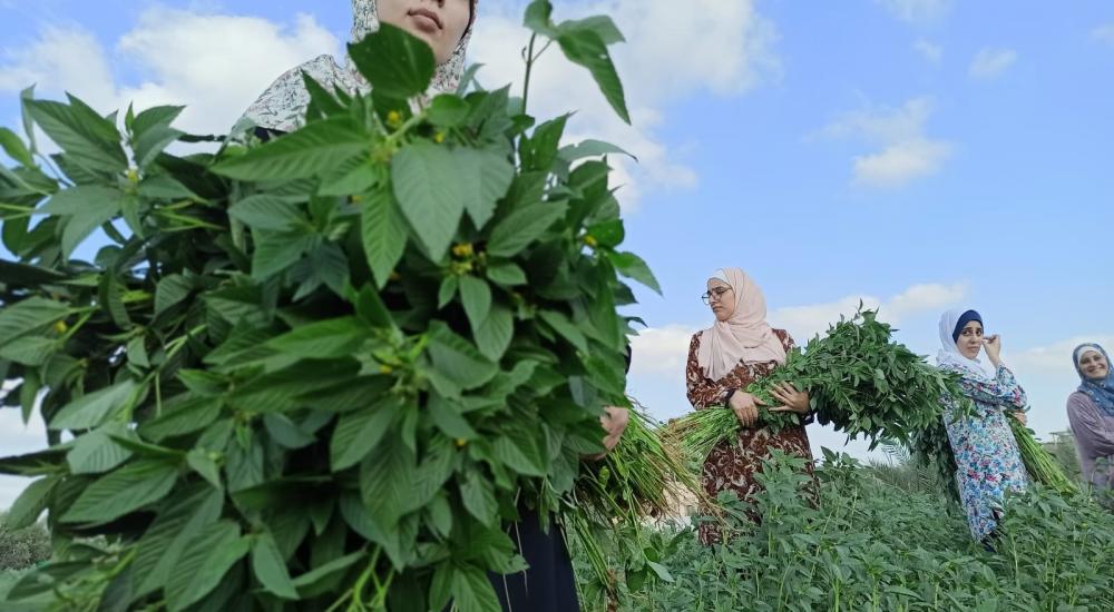 WhatsApp Image 2021-10-24 at 9.46.22 AM.jpg