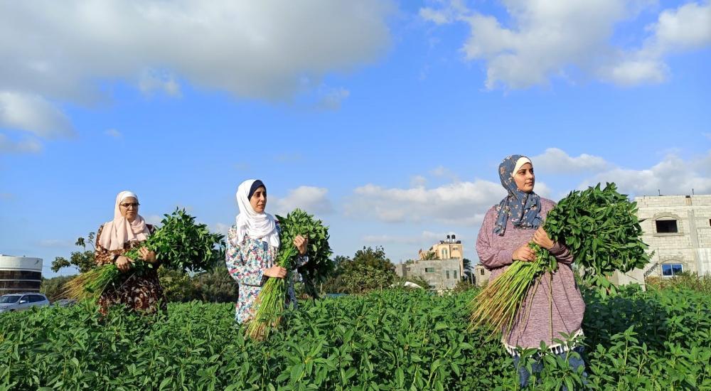 WhatsApp Image 2021-10-24 at 9.47.17 AM.jpg