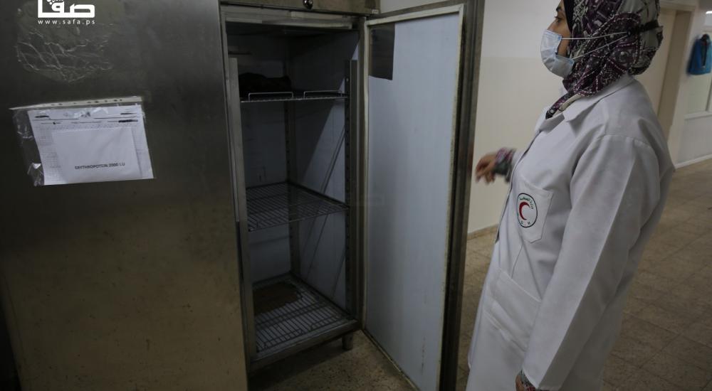 WhatsApp Image 2021-11-02 at 9.16.56 AM.jpg