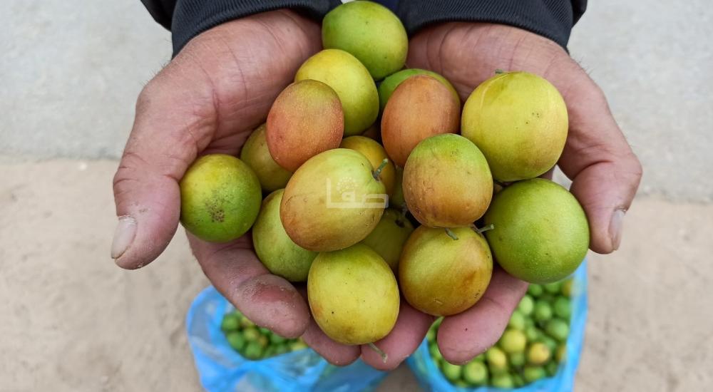 WhatsApp Image 2021-11-17 at 5.27.37 PM.jpg