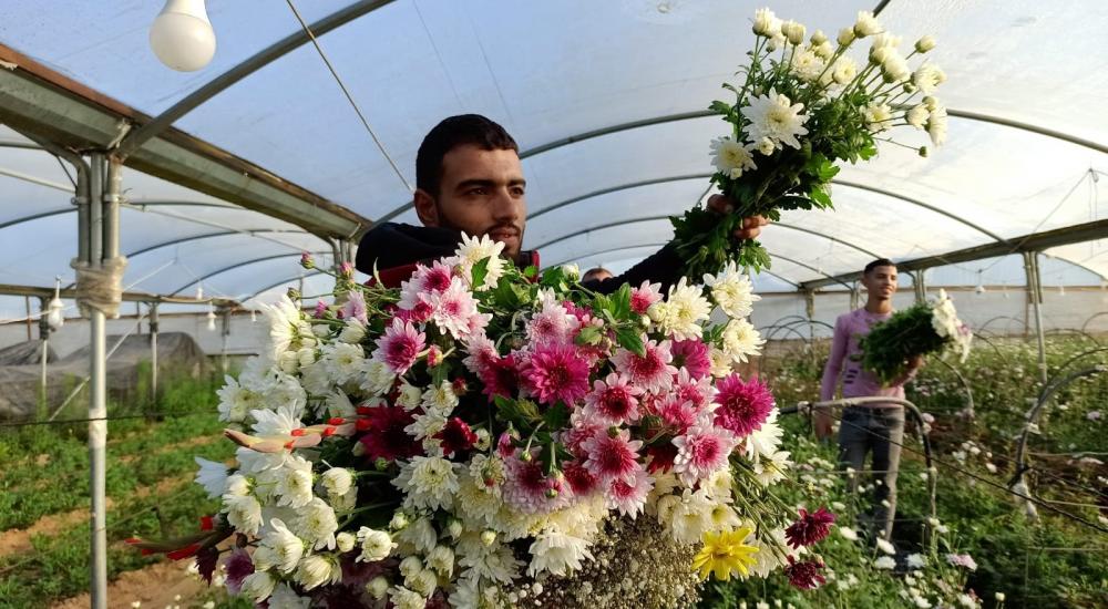 WhatsApp Image 2021-12-27 at 10.08.29 AM.jpg