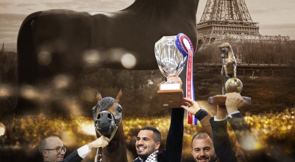 WhatsApp Image 2021-12-16 at 12.45.40 PM.jpeg