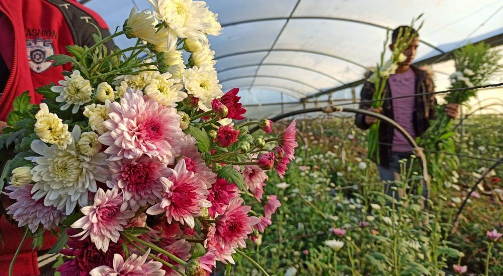 WhatsApp Image 2021-12-27 at 10.07.36 AM.jpg