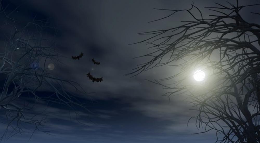 halloween-background-with-spooky-trees-against-moonlit-sky_1048-14649.jpg