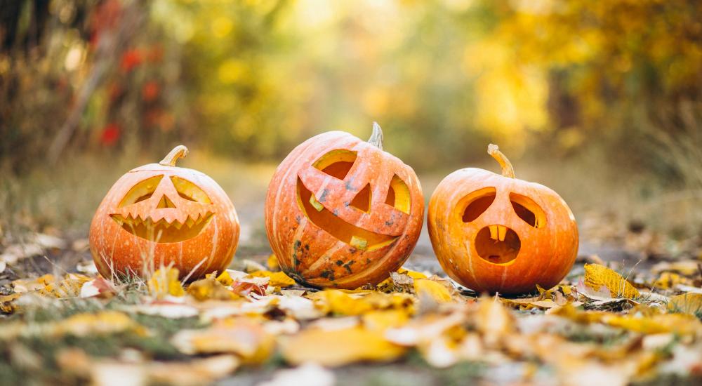 three-cute-halloween-pumpkins-autumn-park.jpg
