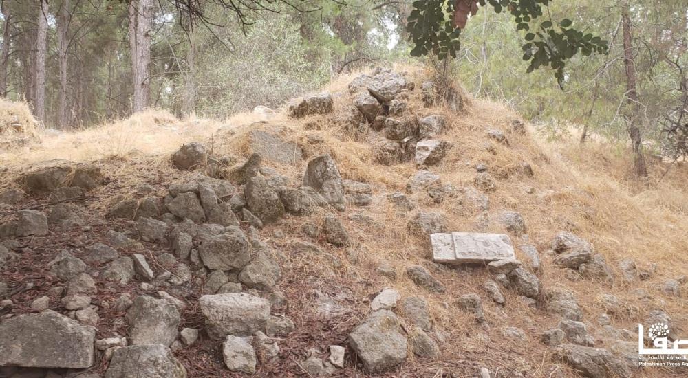 WhatsApp Image 2022-02-22 at 2.23.33 PM (1).jpg