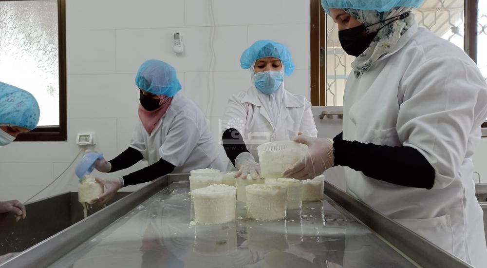 WhatsApp Image 2022-02-20 at 8.24.41 PM.jpg