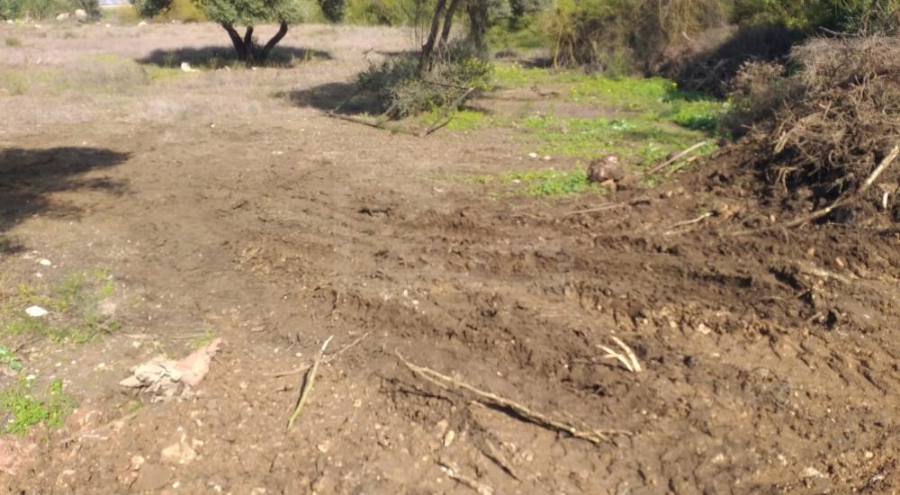 WhatsApp Image 2022-02-12 at 11.24.52 AM (1).jpg