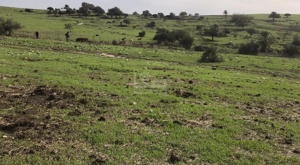 WhatsApp Image 2022-02-22 at 2.23.31 PM.jpg