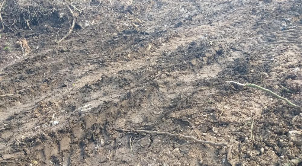 WhatsApp Image 2022-02-12 at 11.24.55 AM.jpg