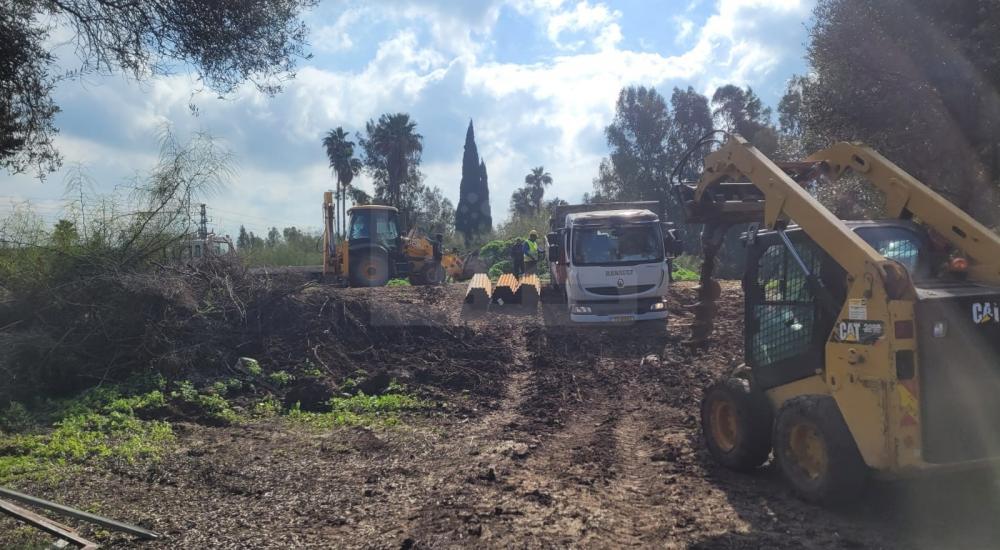 WhatsApp Image 2022-02-12 at 11.24.54 AM (3).jpg