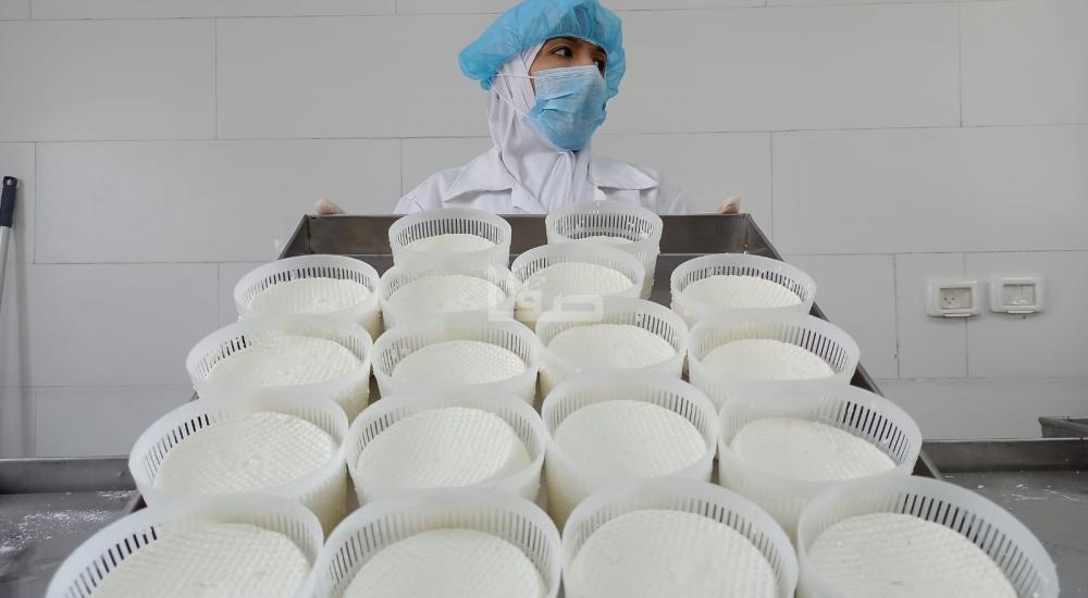 WhatsApp Image 2022-02-20 at 8.24.53 PM.jpg