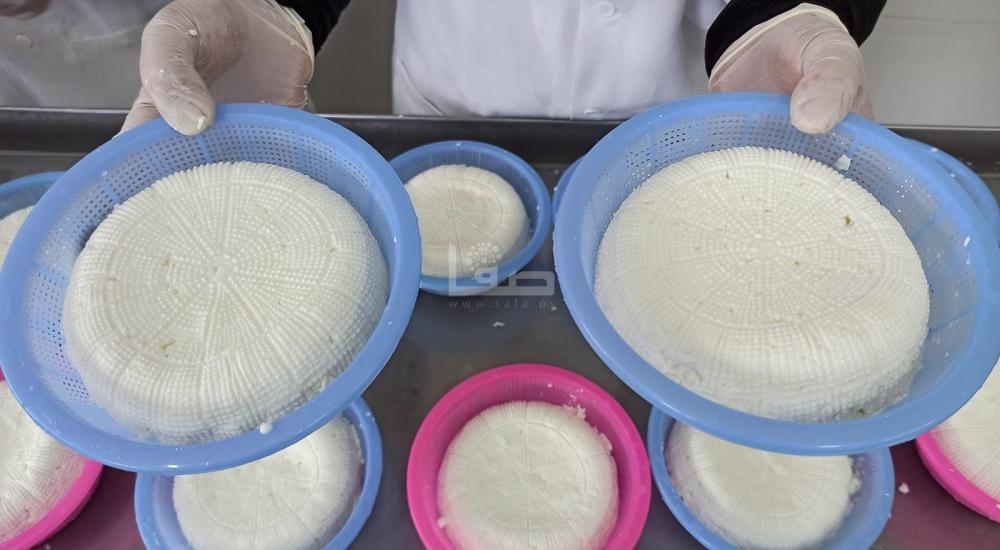 WhatsApp Image 2022-02-20 at 8.25.13 PM (2).jpg