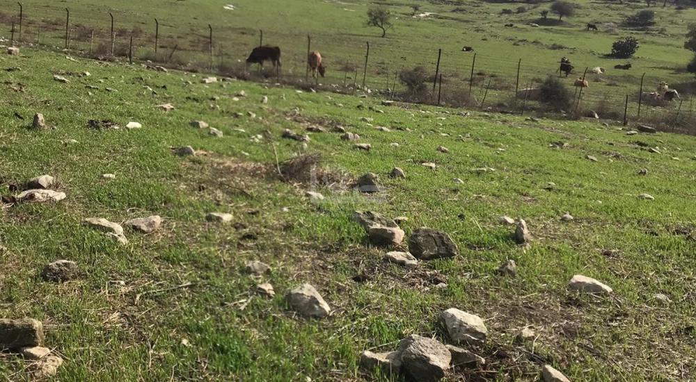 WhatsApp Image 2022-02-22 at 2.23.32 PM.jpg