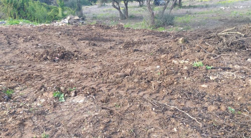 WhatsApp Image 2022-02-12 at 11.24.53 AM (1).jpg