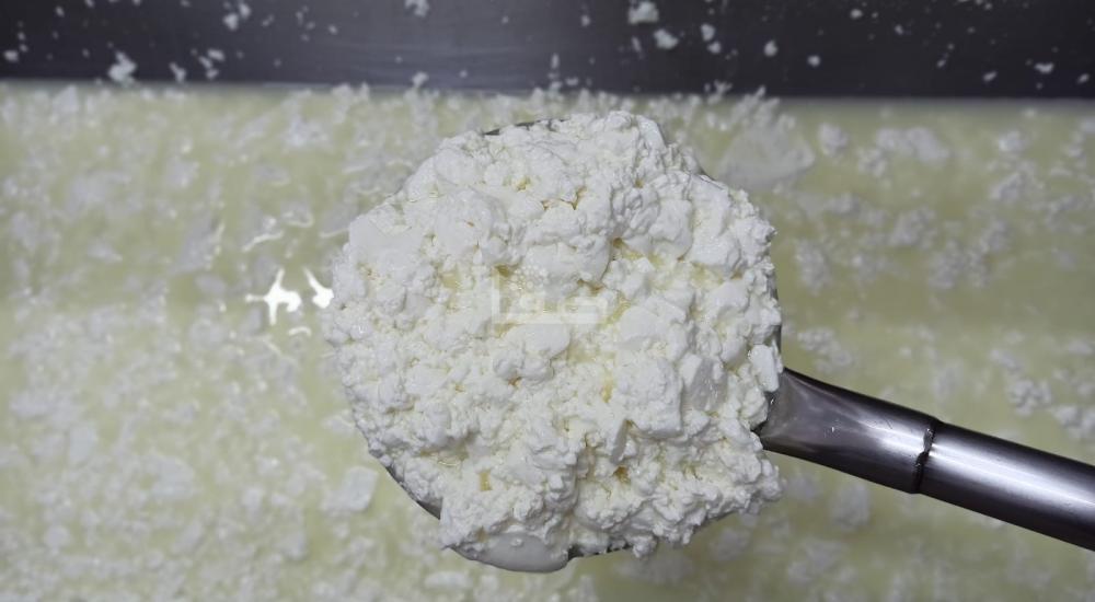 WhatsApp Image 2022-02-20 at 8.24.49 PM.jpg