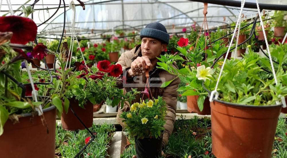 WhatsApp Image 2022-03-05 at 9.31.17 AM.jpg