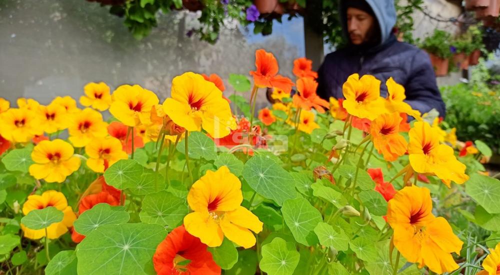 WhatsApp Image 2022-03-05 at 9.23.42 AM.jpg