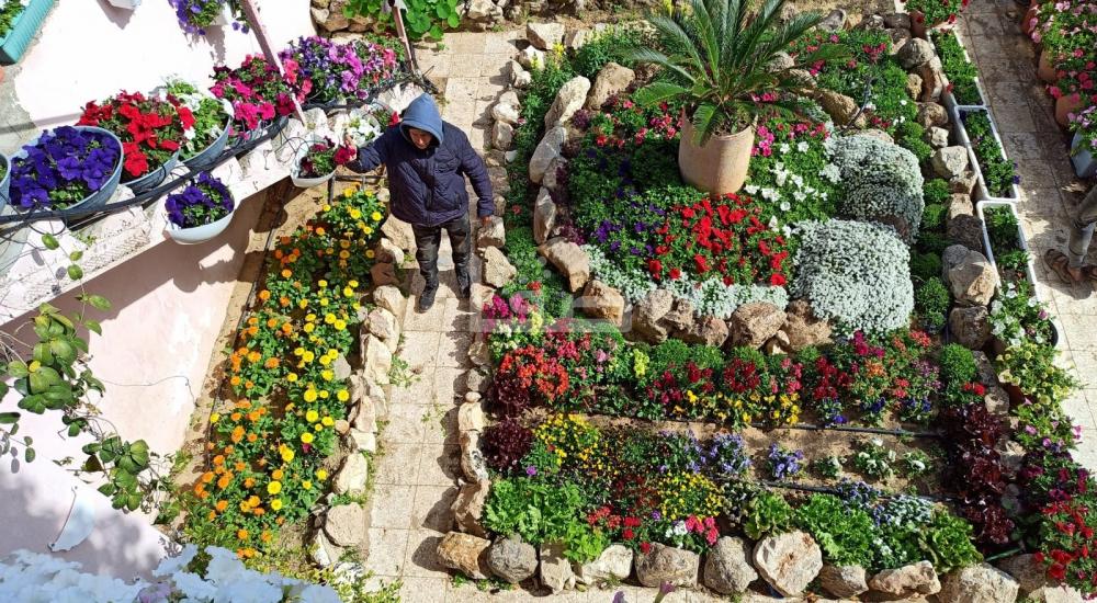 WhatsApp Image 2022-03-05 at 9.36.34 AM.jpg