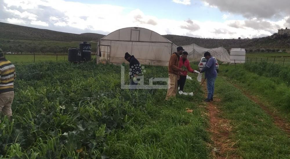 WhatsApp Image 2022-03-17 at 8.43.34 AM (2).jpg