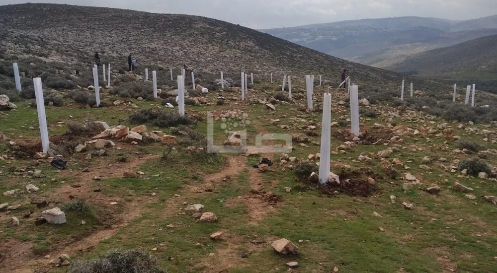 WhatsApp Image 2022-03-17 at 8.43.33 AM.jpg