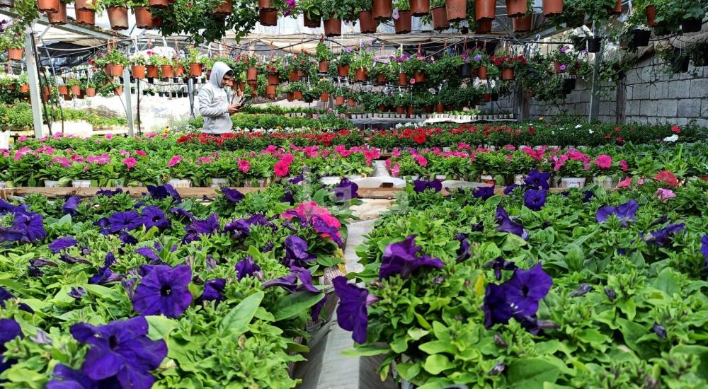 WhatsApp Image 2022-03-05 at 9.36.06 AM.jpg