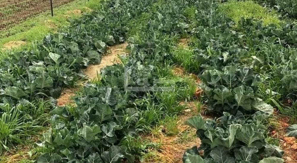 WhatsApp Image 2022-03-17 at 8.43.34 AM (3).jpg