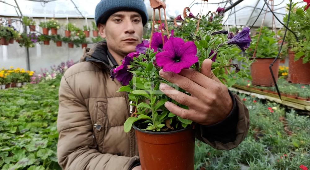 WhatsApp Image 2022-03-05 at 9.36.18 AM.jpg