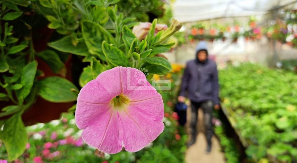 WhatsApp Image 2022-03-05 at 9.23.17 AM.jpg