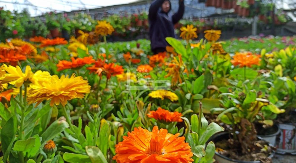 WhatsApp Image 2022-03-05 at 9.17.54 AM.jpg