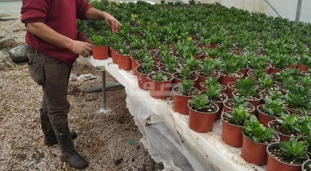 WhatsApp Image 2022-03-17 at 8.43.33 AM (1).jpg