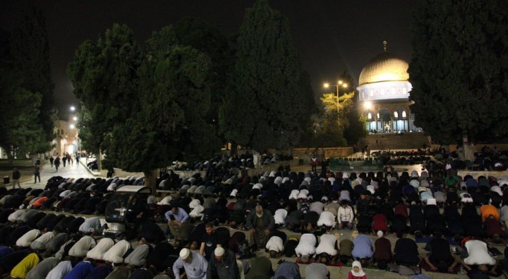 WhatsApp Image 2022-04-18 at 9.53.35 PM.jpeg