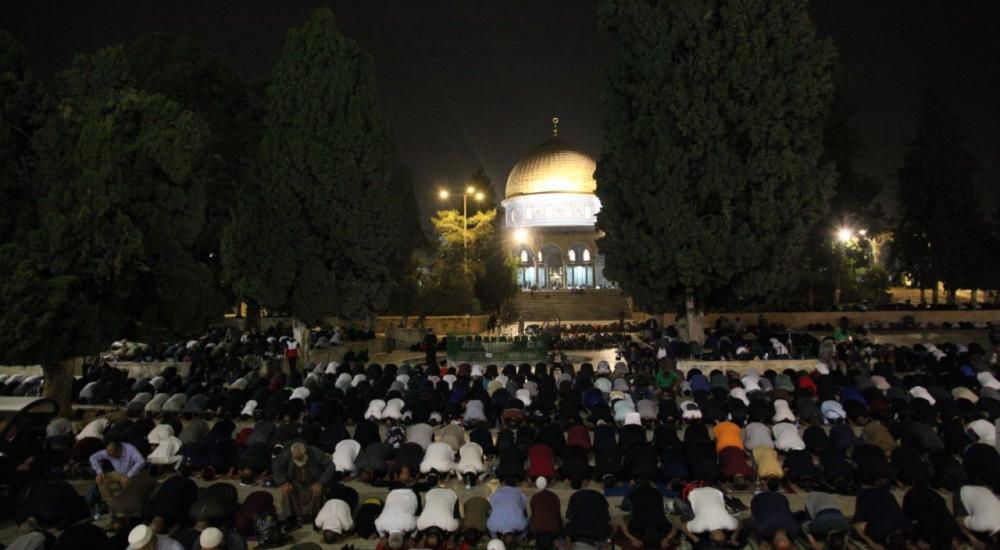 WhatsApp Image 2022-04-18 at 9.53.55 PM.jpeg