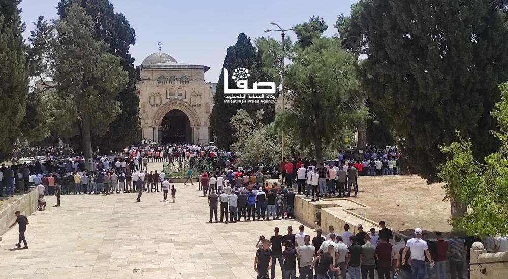 WhatsApp Image 2022-05-27 at 1.38.50 PM (1).jpg