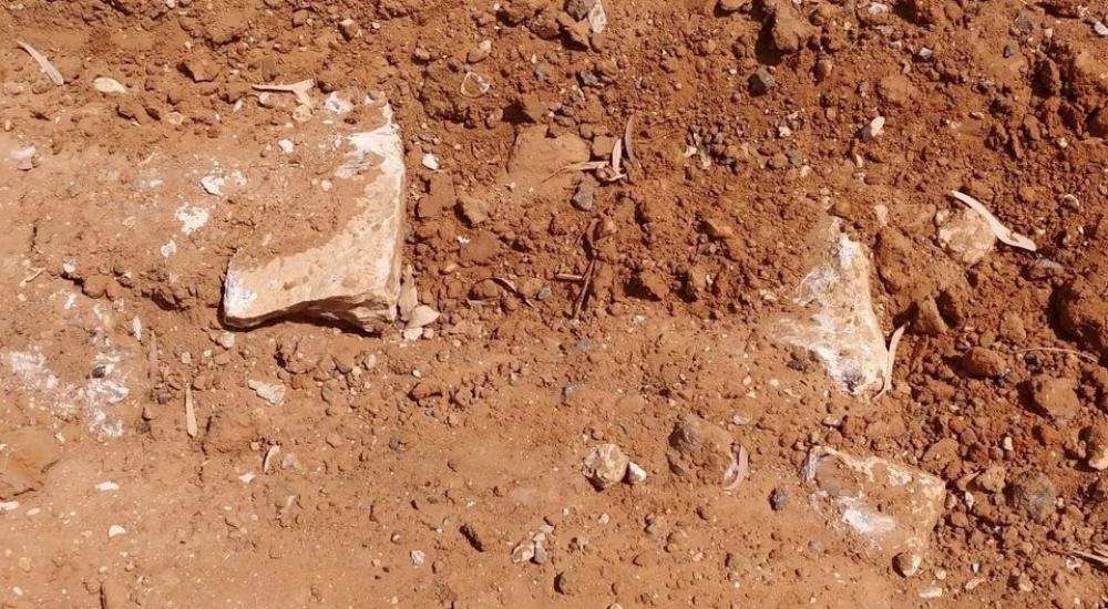 WhatsApp Image 2022-05-30 at 12.48.25 PM.jpeg