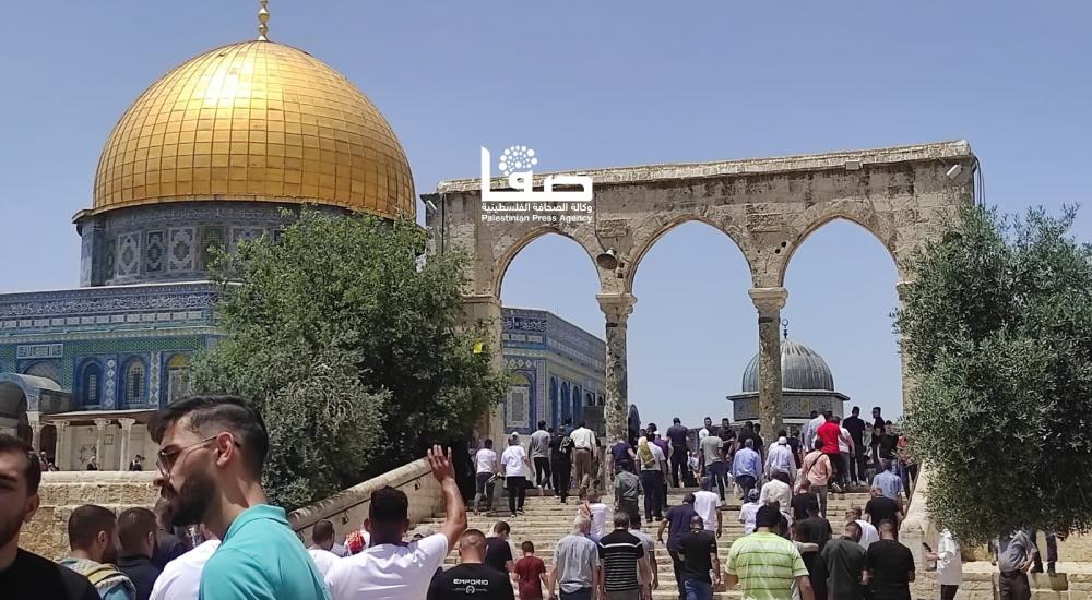 WhatsApp Image 2022-05-27 at 1.38.51 PM.jpg