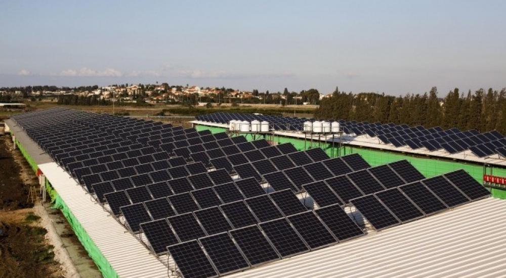 WhatsApp Image 2022-06-21 at 9.58.25 AM.jpeg