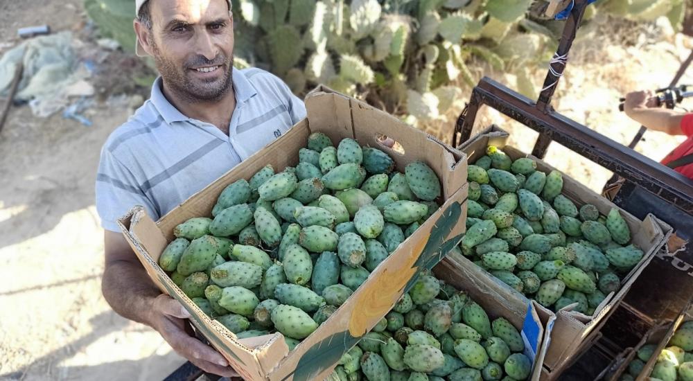 WhatsApp Image 2022-07-14 at 2.04.13 PM (3).jpg