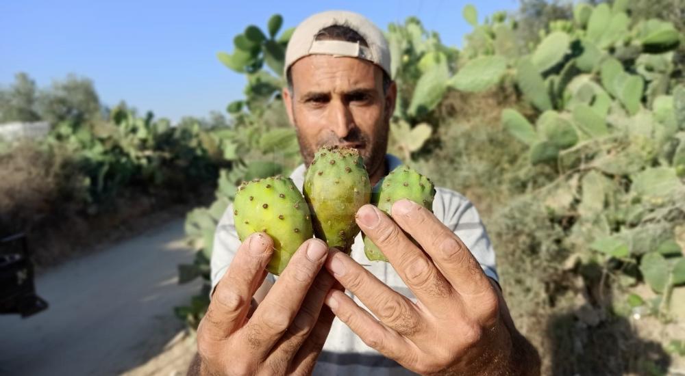 WhatsApp Image 2022-07-14 at 2.04.14 PM (2).jpg