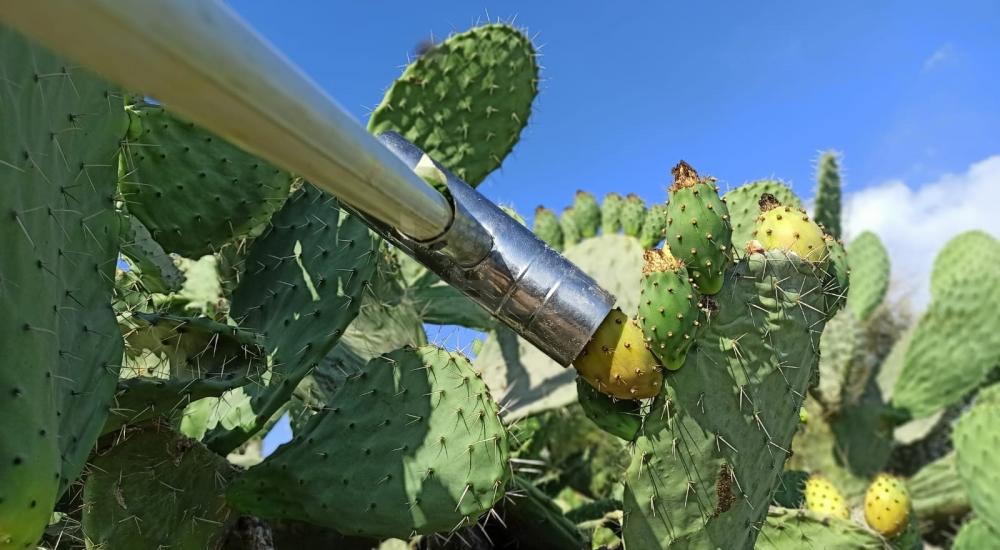 WhatsApp Image 2022-07-14 at 2.04.11 PM (2).jpg