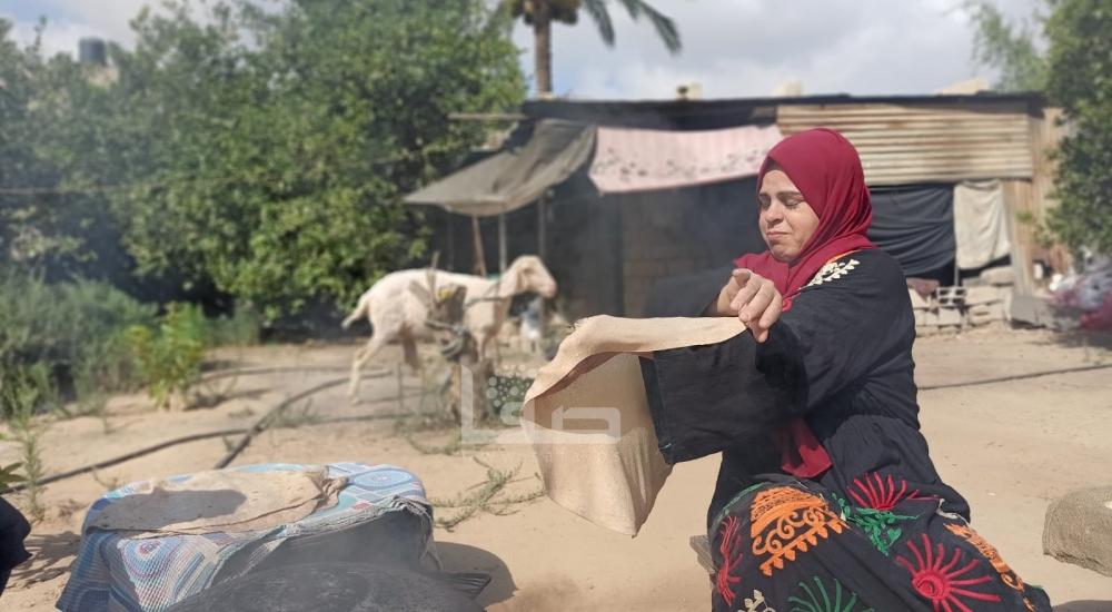 WhatsApp Image 2022-07-07 at 11.11.17 AM.jpg