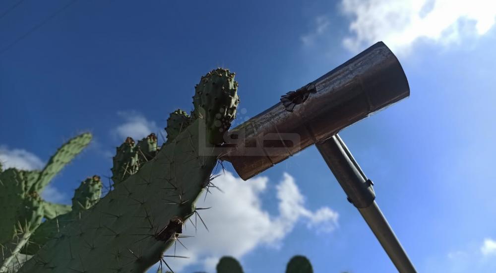 WhatsApp Image 2022-07-14 at 2.04.10 PM (1).jpg