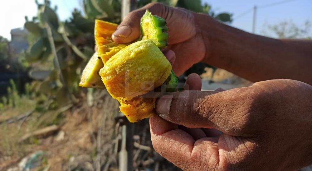 WhatsApp Image 2022-07-14 at 2.04.15 PM (2).jpg