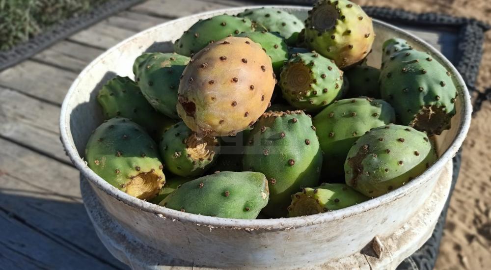 WhatsApp Image 2022-07-14 at 2.04.12 PM (1).jpg