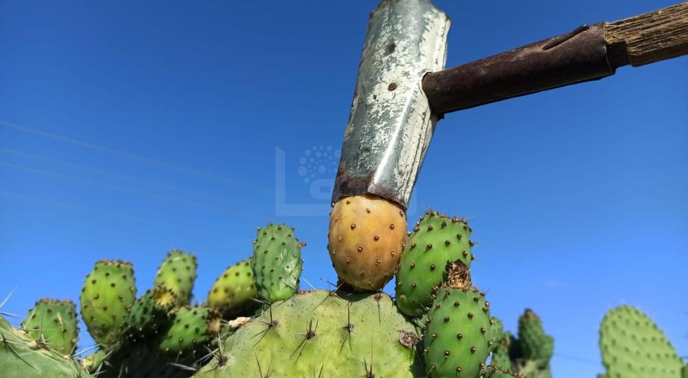 WhatsApp Image 2022-07-14 at 2.04.12 PM.jpg