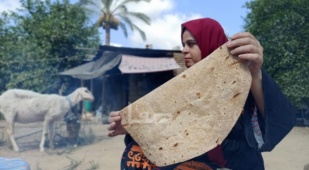 WhatsApp Image 2022-07-07 at 11.13.02 AM.jpg