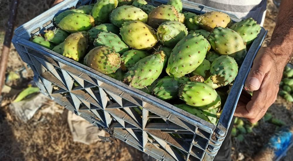 WhatsApp Image 2022-07-14 at 2.04.17 PM (1).jpg