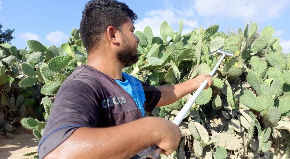 WhatsApp Image 2022-07-14 at 2.04.11 PM (1).jpg